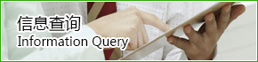 信息查询